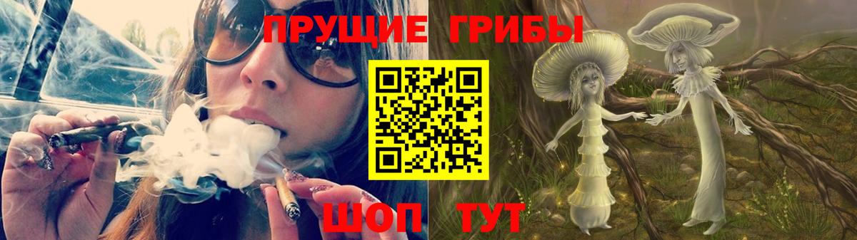 Псилоцибиновые грибы MAGIC MUSHROOMS  Вход с VPN  Галлюциногенные грибы Cubensis  Геленджик 